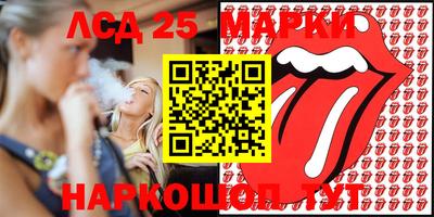 apvp Свободный