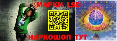 apvp Свободный