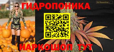 apvp Свободный