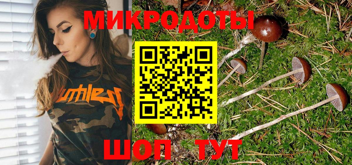 Галлюциногенные грибы MAGIC MUSHROOMS  Псилоцибиновые грибы Magic Shrooms  Обь  Вход с VPN 